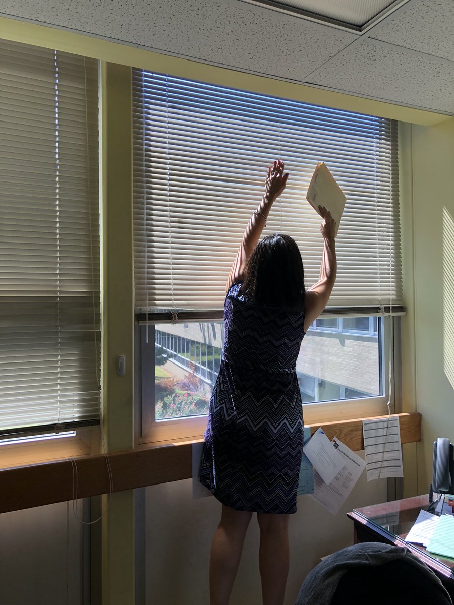 comfortAbleNerd's tweet photo. Wonderful first day of school moments include a co worker who takes care of killer wasps and spiders #workplace #coworking #truepal https://t.co/1kDF0ltX58
