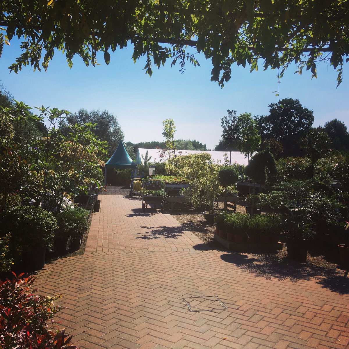 Lovely view of the #marquee the #weddingfair will be in on Sunday 23rd September 2018 at <a href="/priorynursery/">Priory Farm Nursery</a> 
Why not pop along to see us?
#wedding #localsuppliers #bride #groom #Redhill #Reigate #Surrey x