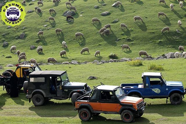 kashmiroffroad's tweet photo. One with nature.
#kashmiroffroad #kashmirmotorsport #kashmir #offroad #dirttrack #livetodrive #jeep #custommade #offroadmonster #mahindrathar #noroadnoproblem #4x4life#4wd https://t.co/oegDGIIwX3 https://t.co/nSbgSJGr1Z