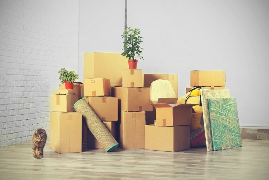 Har du vært på flyttefot i det siste? Unngå å gå i flytte-fella – det kan koste deg dyrt! bit.ly/2NINK4z