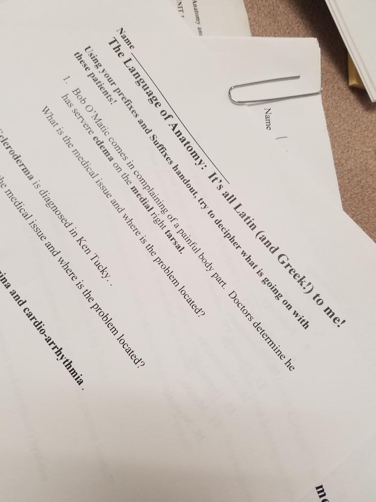 Kicking off A&amp;P with some medical terminology detective work... tge importance of Greek and Latin root words.