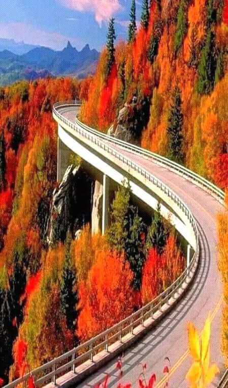 786999k's tweet image. Time Is Like A River. 
You Cannot Touch The Same Water Twice..... "because The Flow That Has Passed Will Never Pass Again"....enjoy Every Moment Of Your Life. 💖🥀🌱🌷 
🌷🥀 Good Morning Friends 💖🥀🌱🌷