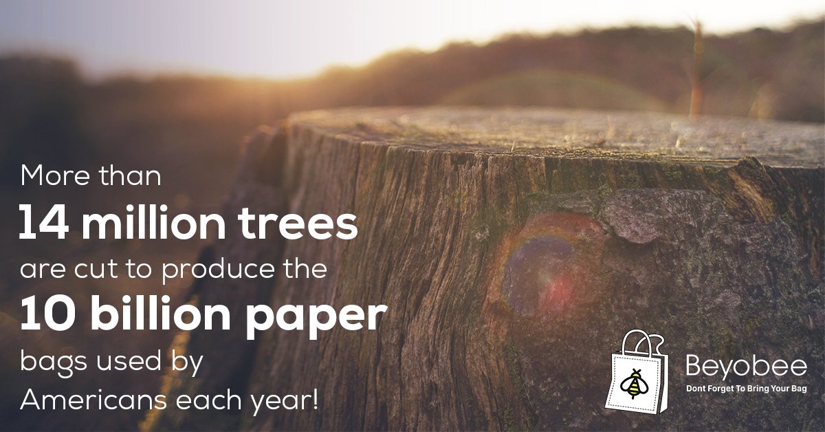 beyobee's tweet image. More than 14 million trees are cut to produce the 10 billion paper bags used by Americans each year. It takes more than four times as much energy to manufacture a paper bag as it does to manufacture a plastic bag.  
#reusablebags #switchtoreusables #grocerybags #saveplanet