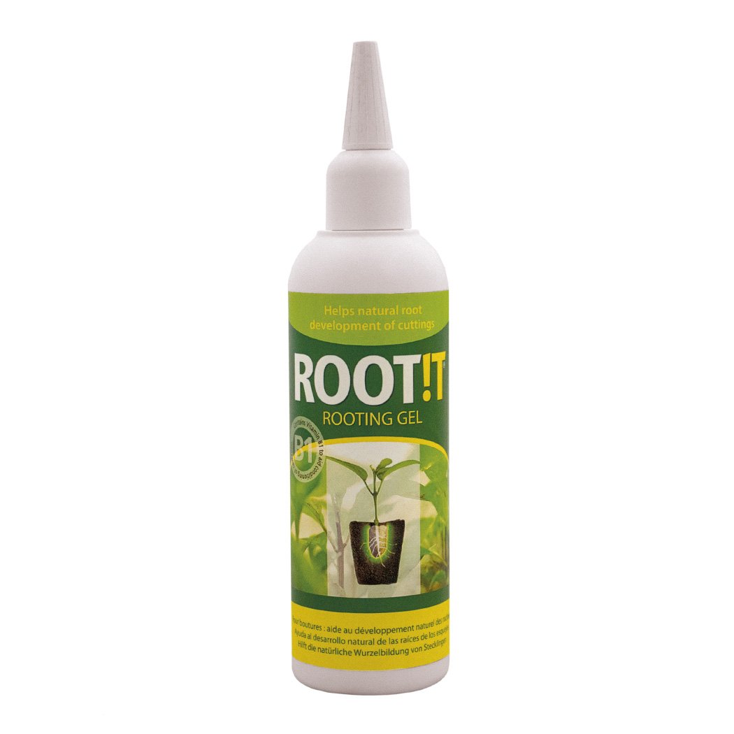 Propagateplants's tweet photo. Check out some of our products on display at @spoga ROOT!T has everything you need for successful propagation #Propagate #Seedling #Cuttings #Grow https://t.co/CoMvc6oEf1