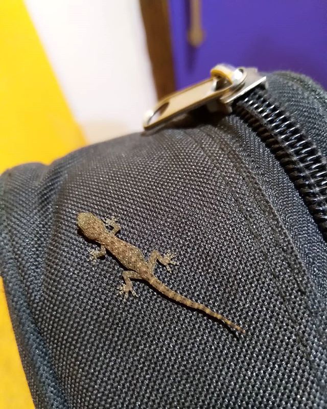 Tiny dude ift.tt/2LUthrS