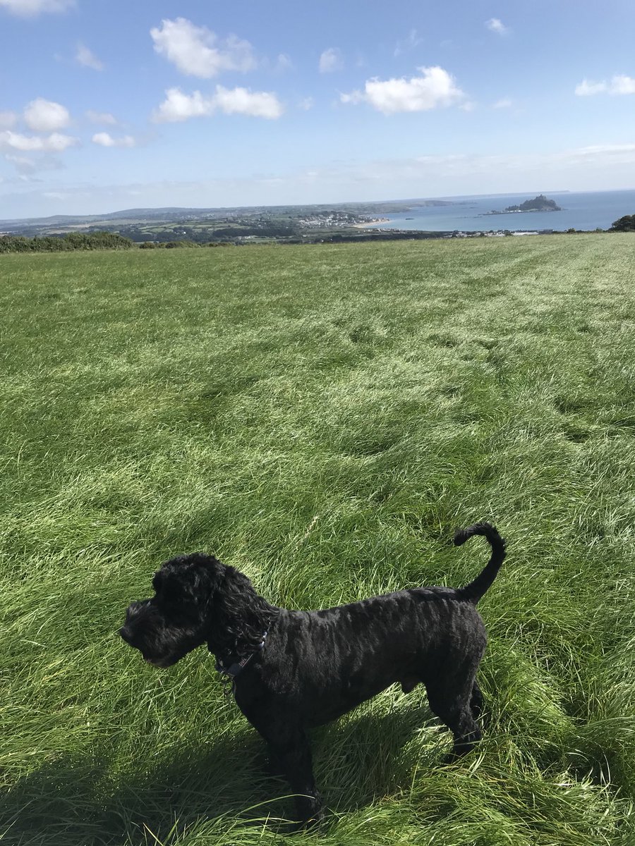 JMEH23's tweet image. England does not get enough credit 😍 #stives #longrock #stmichealsmount