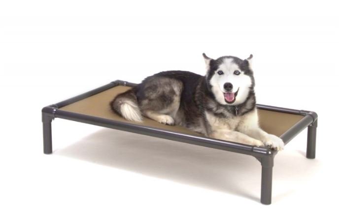 .<a href="/APARC_MH/">APARC</a> is doing a fundraising drive for dog beds like this one.  Today on the show we played One Second Name That Tune, to benefit APARC. 

LISTEN:  cfmy.streamon.fm/listen-pl-1833

#myMORNINGS | <a href="/KimJohnston/">KJohnstonMH</a> | @onairnic | <a href="/my96fm/">my96 Radio</a>