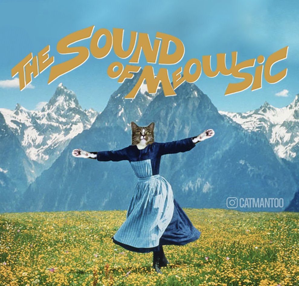 🎶The hillllls are aliiiiiive with the sound of dinnerrrrr time🐟

#cat #soundofmeowsic #soundofmusic #funny #movies #didga #catmantoo