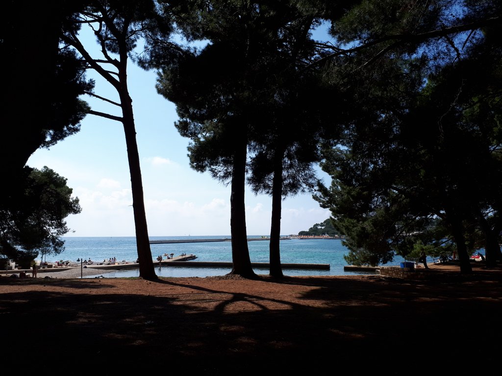 MITOMEDplus_'s tweet photo. .@MITOMEDplus_ steering group meeting starting now in Istria with the last updates included in the 3rd progress report & the upcoming activities
#sustainabletourism #onlineplatform #GreenBeachModel #transferringactivities https://t.co/uysHZe64Fy