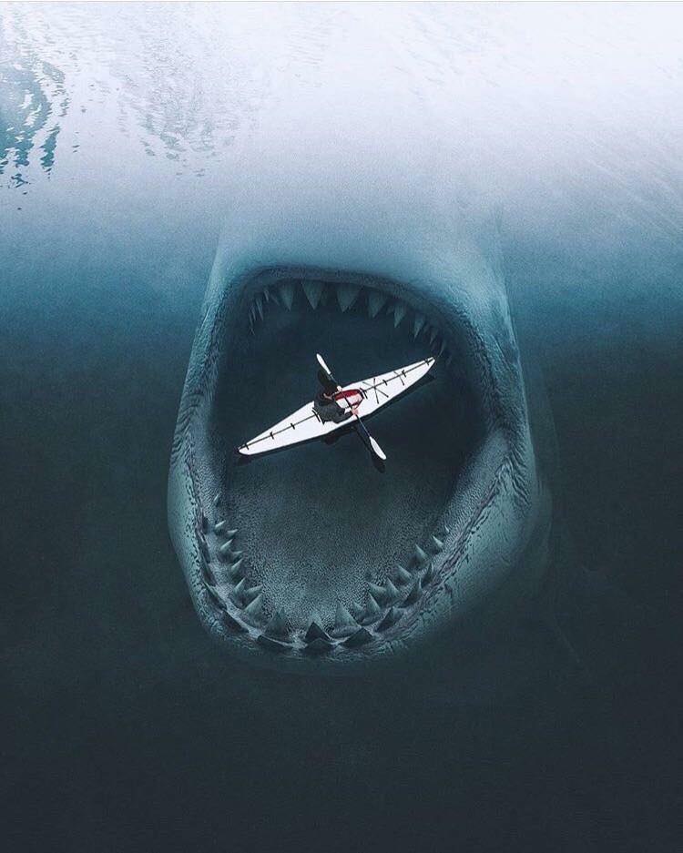 Aegrescit medendo tweet media