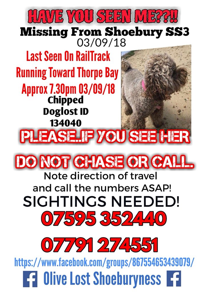 KimC_88's tweet image. @c2c_Rail Please look out for this missing dog 🤞