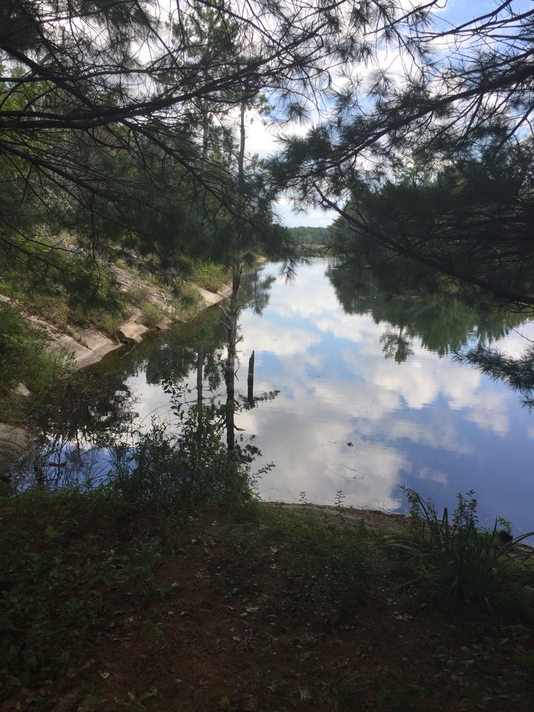 sportanwellness's tweet photo. #LaborDayWeekend Enjoying a little #trailriding #TwinLakesHavelock fueled with #HighPerformanceSportsMix &amp; #BlueberryNutritionalBars   @BioSteelSports @superfly_racing @ontariocycling @OnCyclingTrails @specialized_ca @OnCycling @Chico_Racing https://t.co/altN9M6KmH