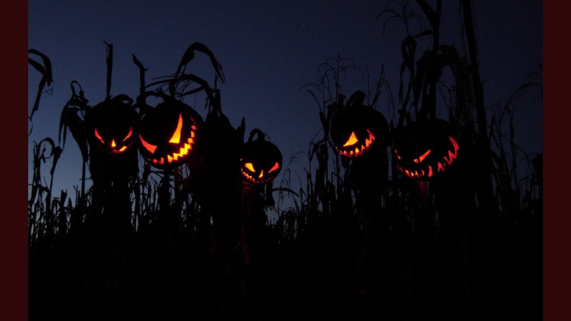 And another pre-Halloween smash (the pumpkins must be working overtime), we're now selected at Tampa's Halloween Horror Picture Show! A great fest that's been running 14 years! 🎃