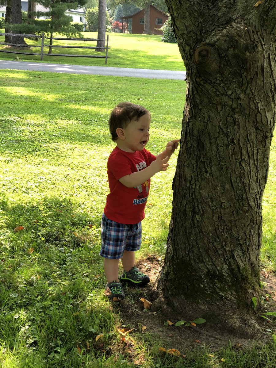 afrancomusic's tweet photo. Testing out Twitter... I’m behind on the times, guys! Anyway, here’s Emerson having an in depth conversation with a tree. #toddlers https://t.co/uVPwOFRmwA