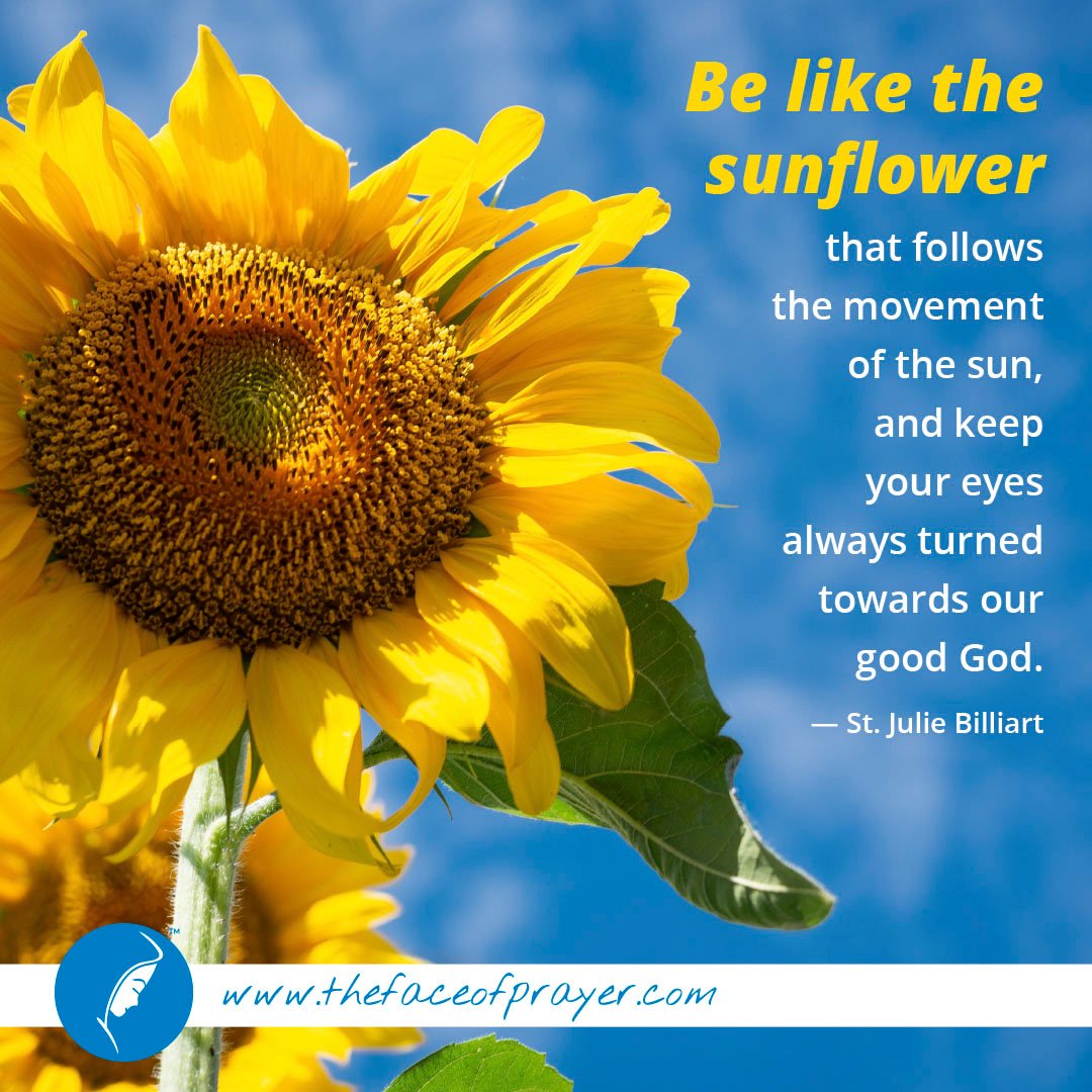 TheFaceOfPrayer's tweet photo. Keep your eyes focused on God, and He will lead you to new growth. #TheFaceOfPrayer https://t.co/HYtdgRAJe4