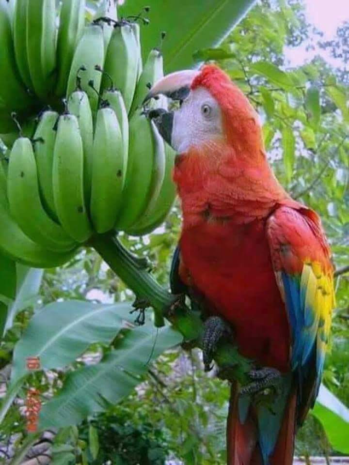 dilraju257's tweet image. హాయ్