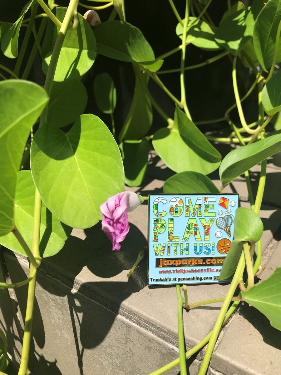 Visit_Jax's tweet photo. READY, SET, JAX GEOCACHE CHALLENGE!! Join in on this fun adventure exploring Jacksonville's parks and landmarks. For details and rules visit, https://t.co/PYvCMWxIIM. #onlyinjax #explorejax #visitfl #getactiveinjax #jaxparks https://t.co/ztIccLFGuE