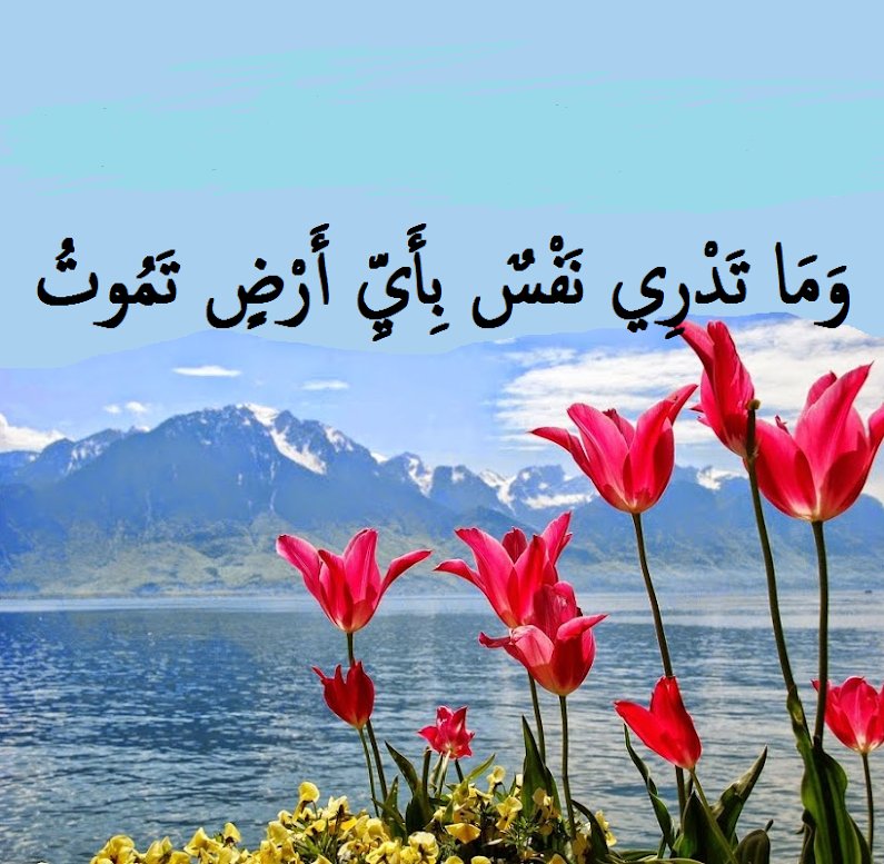 قبل أن تؤمن وتصدق أن هذا كلام خالق الكون 
 هل فكرت و لو للحظه أن ملايين البشر قد اختاروا بأنفسهم التوقيت والمكان في انهاء حياتهم , في مايسمى بالانتحار ؟!