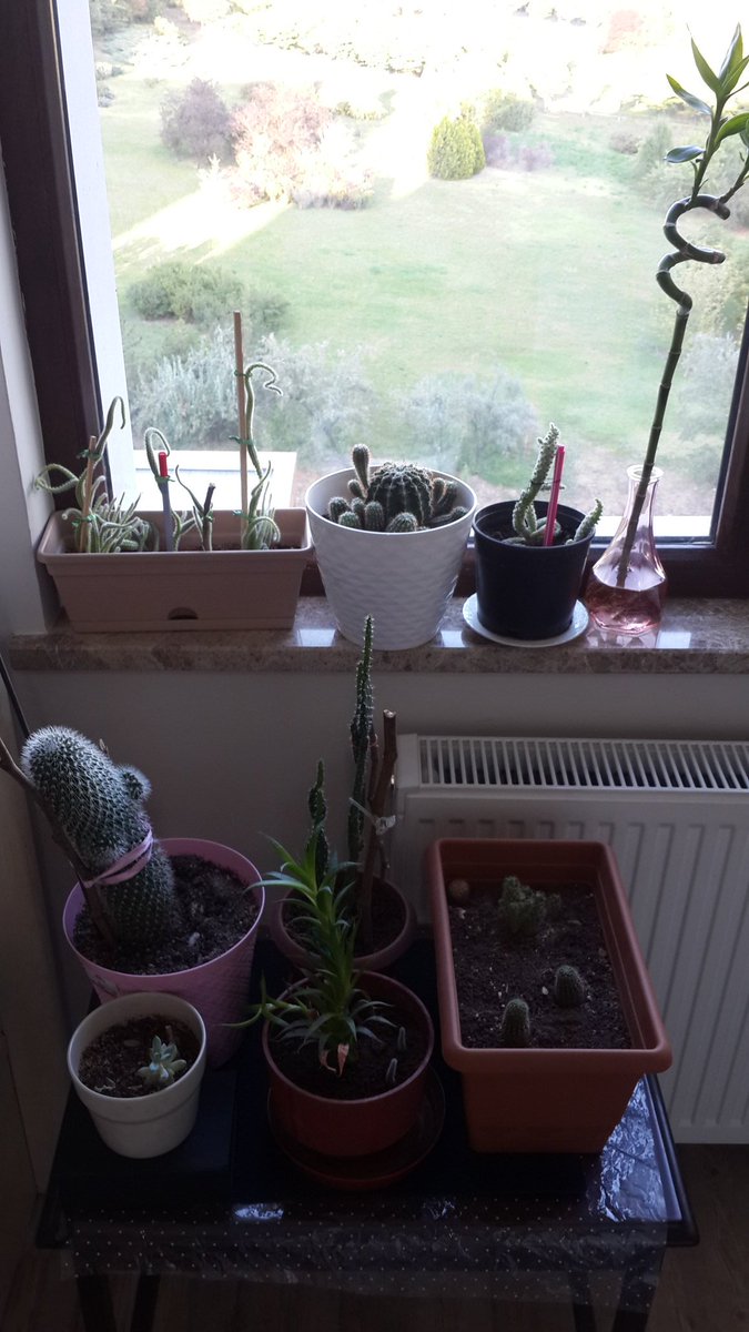 Ben yokken nasıl da büyümüşler #proudmom  💕