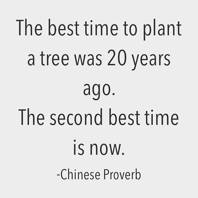 Reposting @axtschmiede: - via @Crowdfire 
The best time to plant a tree was 20 years ago. The second best time is now.
-Chinese Proverb .
.
.
#quotes #motivation #quote #inspiration #quoteoftheday #motivationalquotes #linkinbio🔥 #followme #supportnewauthors #inspirationalquotes
