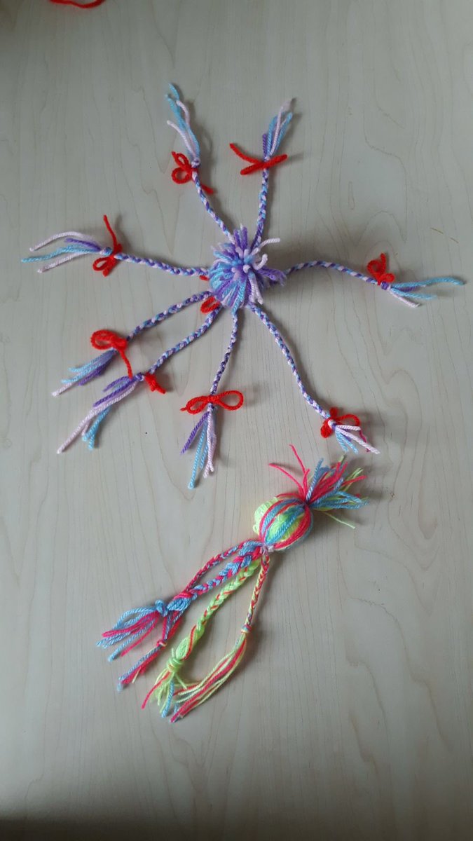 Vandaag octopussen gemaakt van wol.