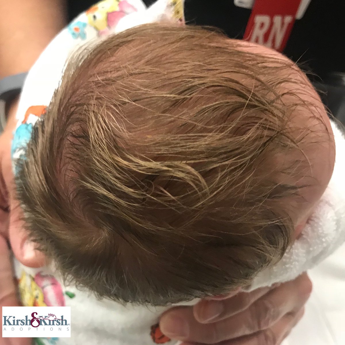 KirshandKirsh's tweet photo. Look at that full head of hair and those cute toes! Very exciting day for one of our wonderful families because of the brave love of the birth mother and father โค๏ธโค๏ธโค๏ธ
โบ๏ธ https://t.co/SZeVub4Czu
#indianadoption #indiana #adoption #adoptionindiana #adoptionattorney https://t.co/d9dbDU0Vva