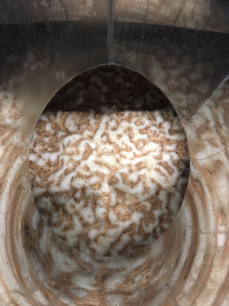 MaisonRuinart's tweet photo. And sometimes fermenting yeasts don’t just do their jobs, they create some funky art too! #Ruinart #cellartime #winery #fermentation #harvest2018 https://t.co/SCl3ogBmuz