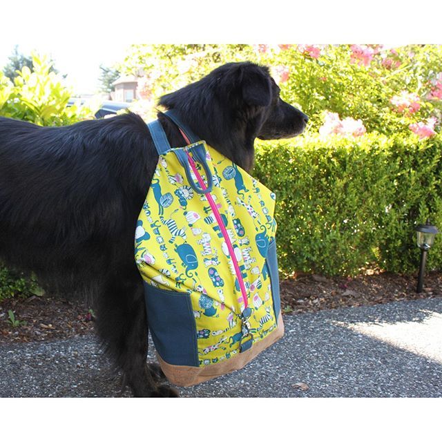 SassafrasLane's tweet photo. Shelby is looking forward to the new school year and sporting her Bugsy Backpack! Whose kids are going back to school this week? 🚌 And who is excited for a little extra sewing time? . . . 
#sassafraslane #bugsybackpack #diy #sewing #makeyourownbag #b… https://t.co/HNRGPZNklB https://t.co/5NsQwJhg0E