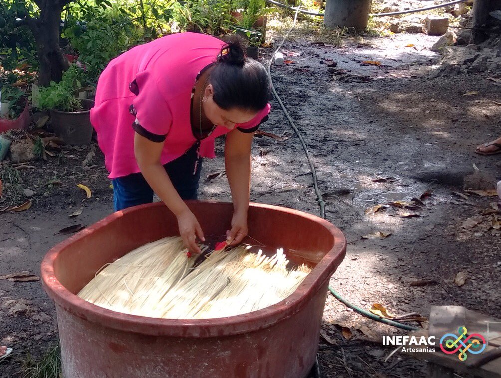 A través del Servicio Nacional de Empleo Campeche (SNE) se impartió curso de capacitación para 21 artesanas de la comunidad de Tankuché, Calkiní que les permitirá aprender y perfeccionar la técnica del tejido de la fibra vegetal jipi-japa.