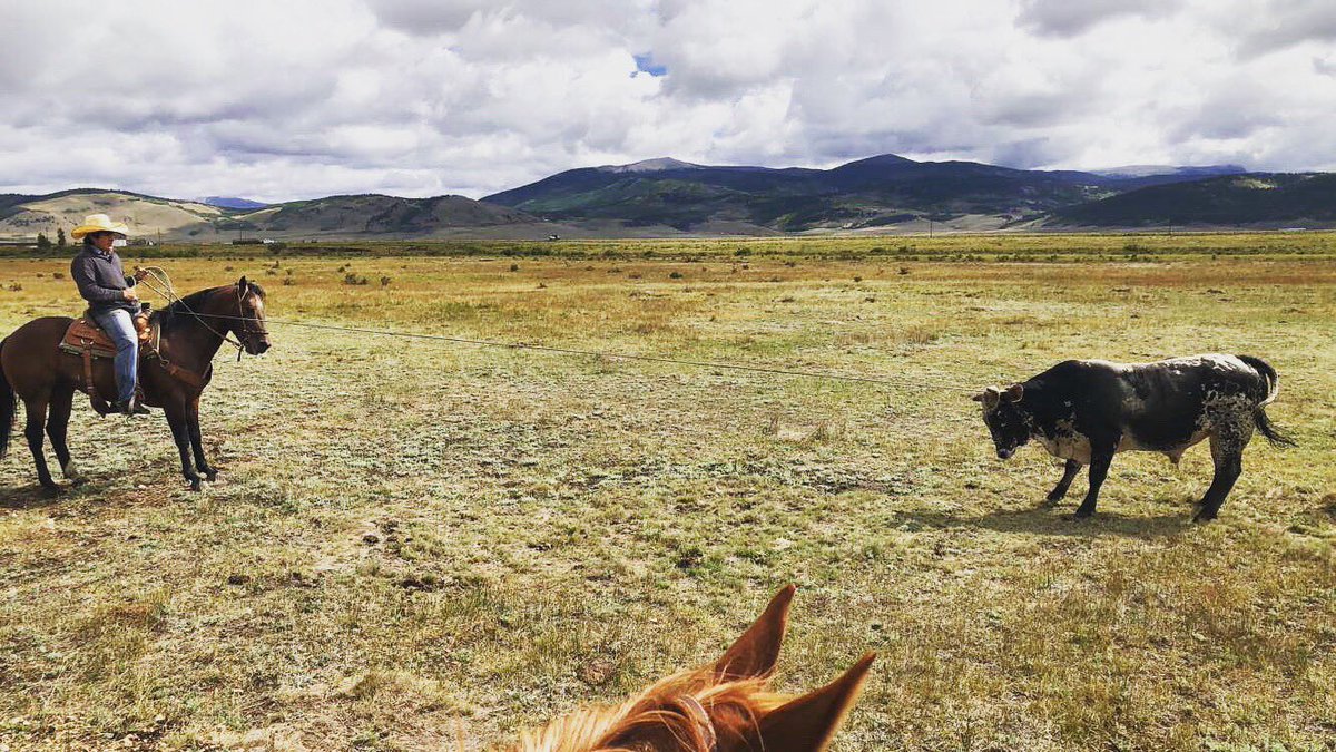 Can your Cowboy rope a bucking bull and handle him in the open range? No? Better get the #CowboySpot app, and #SwipeRight!