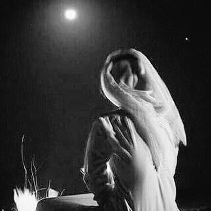 برق الشقردي tweet media