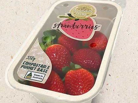 FreshPlaza_com's tweet image. First compostable top seal strawberry punnet launched | Trialed in Australia
freshplaza.com/article/200668…