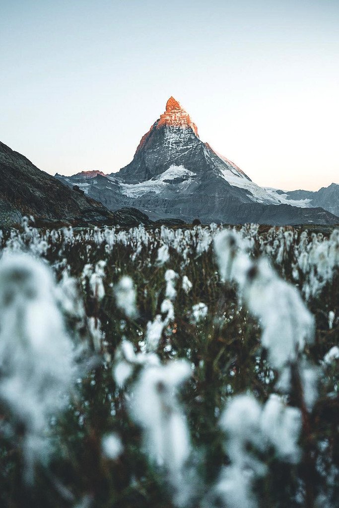 taiga_codex's tweet image. #nature #landscape #wilderness #earth See more: taiga-codex.com