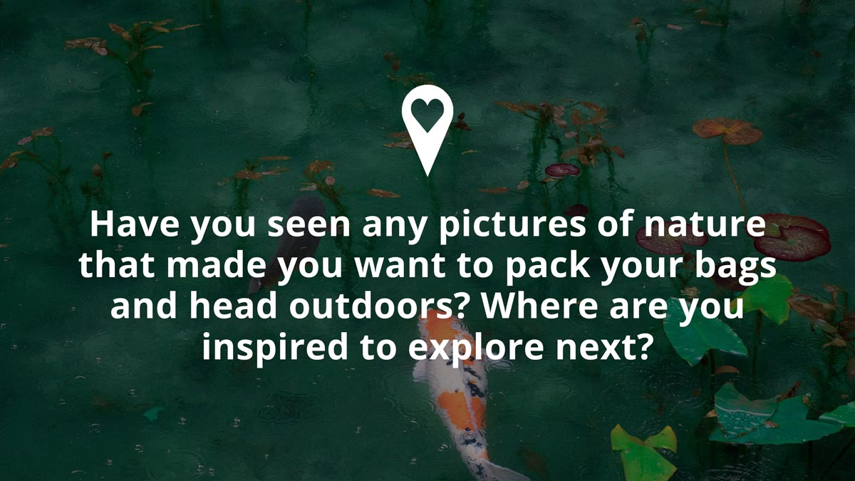 Q6- Have you seen any pictures of nature that made you want to pack your bags and head outdoors? Where are you inspired to explore next? #PassionPassport
