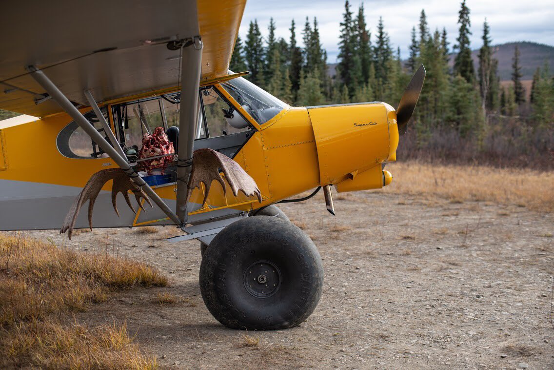 Getting creative with the load hauling capabilities of the Super Cub following our Alaskan moose hunt. You can see the full hunt in the upcoming season 7 of MeatEater dropping this fall.  #meateater