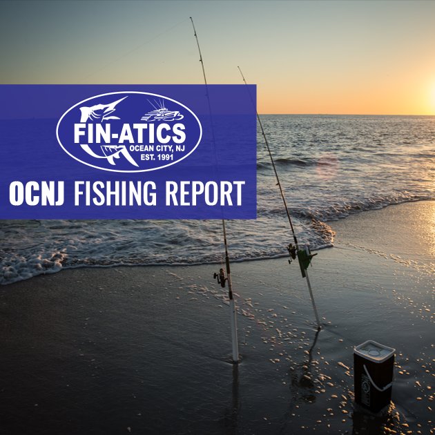 FinaticsOC's tweet photo. #FishingReport: Kingfish and Spots are hanging around in the surf biting on Blood Worms and Fish Bites. For the kids, we still have small flounder and seabass in the back bays, with Snapper Blues still biting on blood worms. #OCNJ https://t.co/ueHYKdVtC2