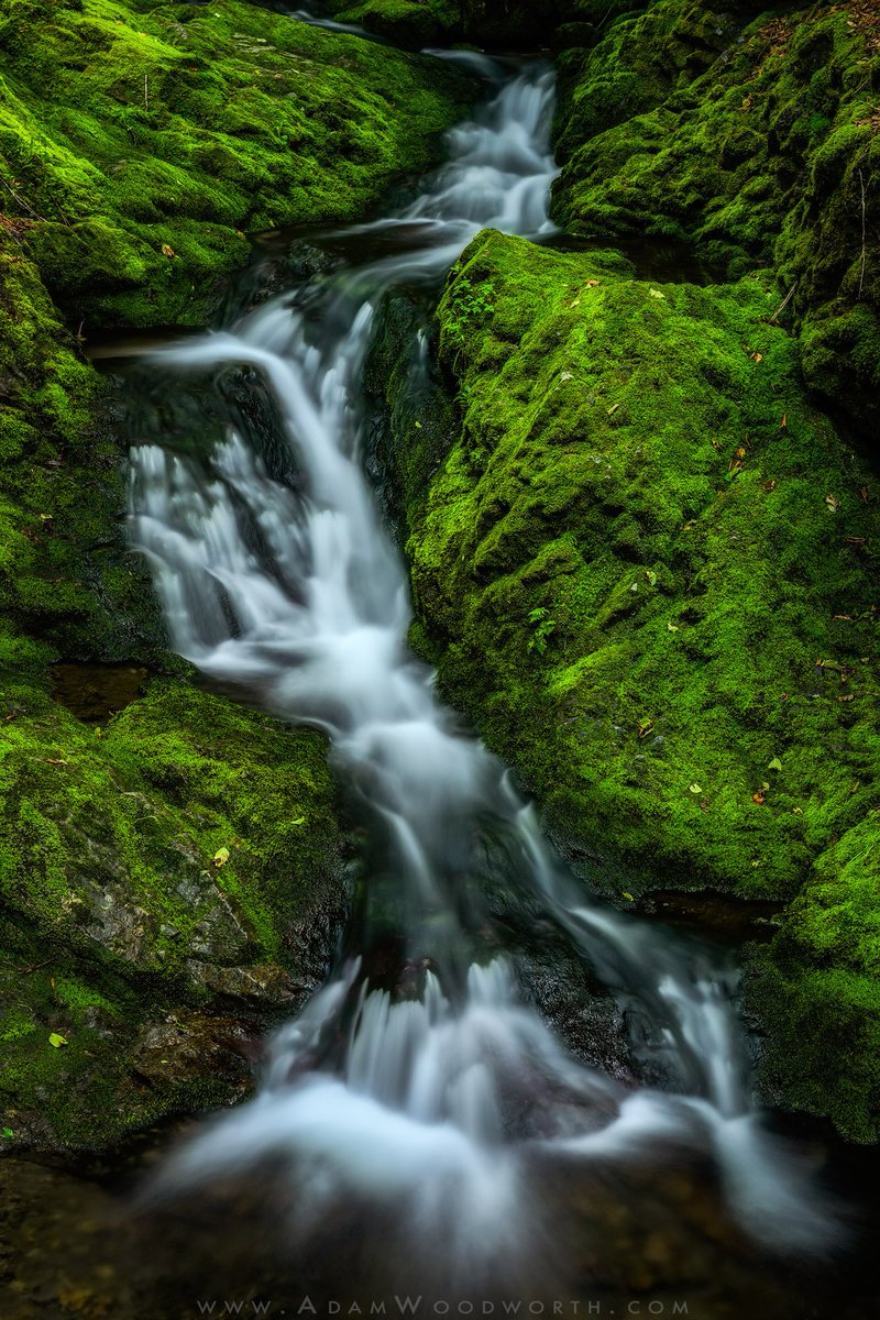 A cascade downstream from Dickson Falls in Fundy National Park in New Brunswick.

Pre-production Nikon Z 7 with ZTF adapter and and NIKKOR 24-70mm f/2.8 lens @ 62mm, f/11, ISO 200, 2 seconds. #Nikon #NikonZ7 #NikonNoFilter #FundyNationalPark