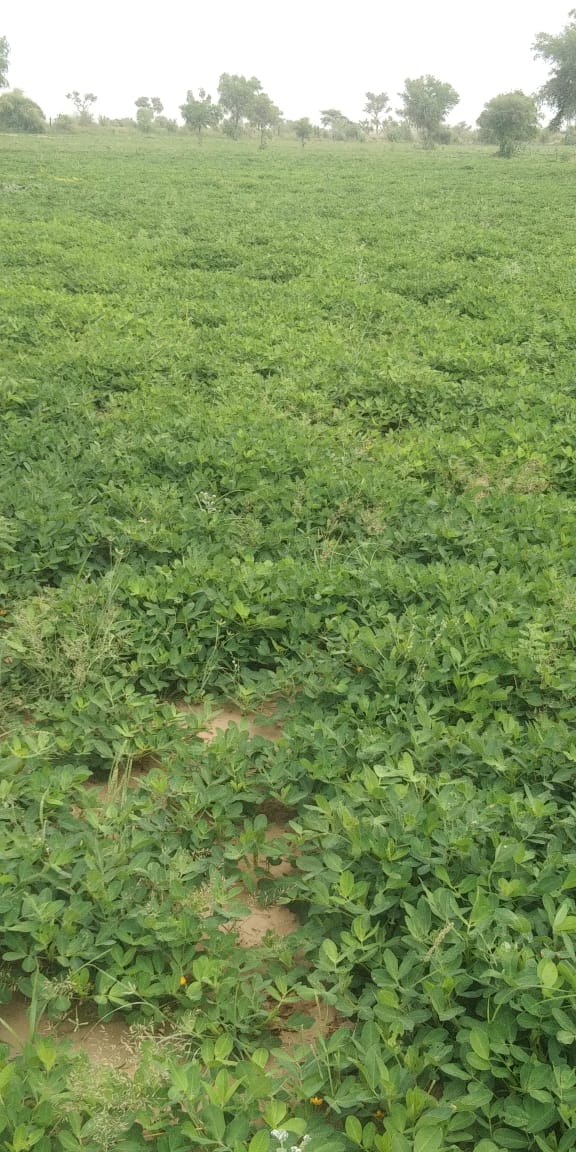 LineTechona's tweet image. Sundar njara