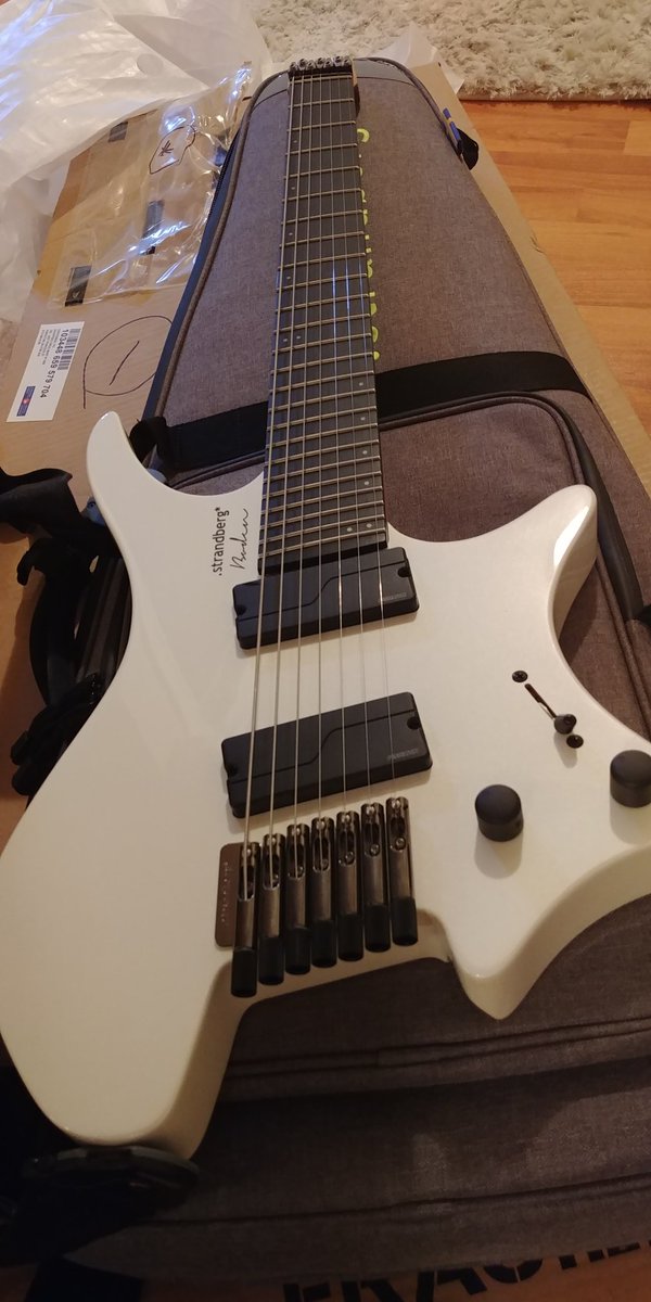 The newest addition to the family <3 #strandbergguitars #goheadless