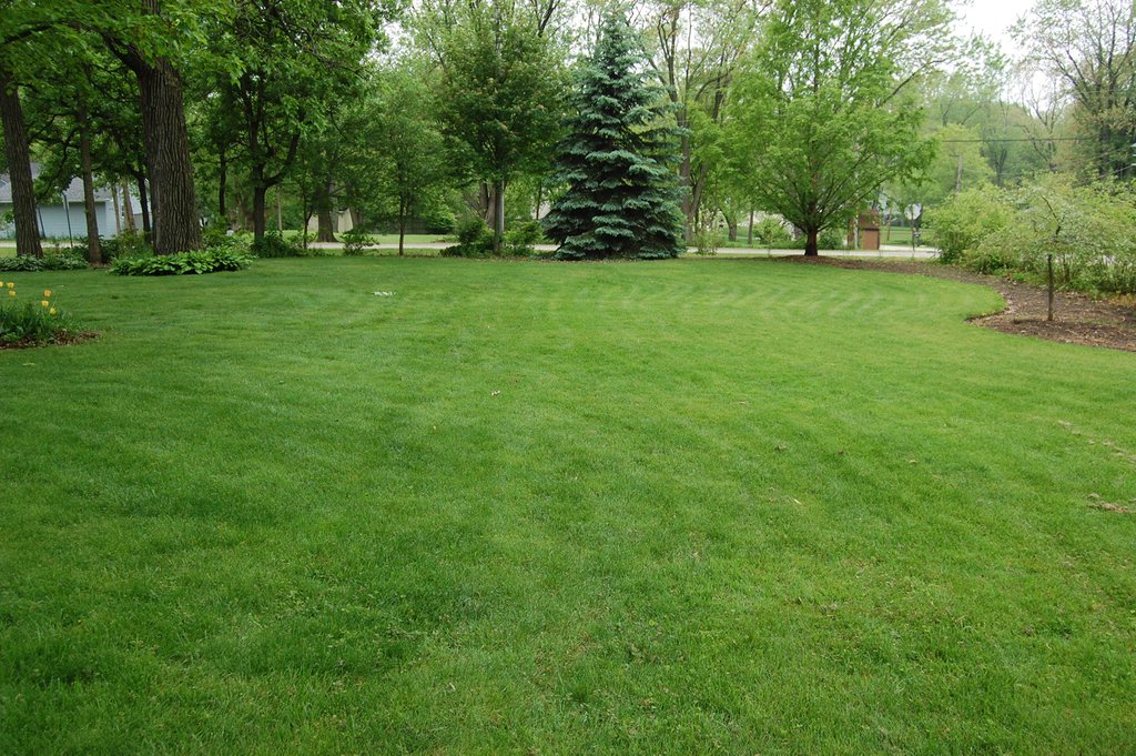 LawnCareLife's tweet photo. Check out these amazing steps toward a great looking Alabama lawn.https://t.co/fhgh1z9vkg  
.
.
.
#lawnmower #lawncarelife #lawnbusiness  #lawnbusiness #lawntrends https://t.co/NADB5dymfT