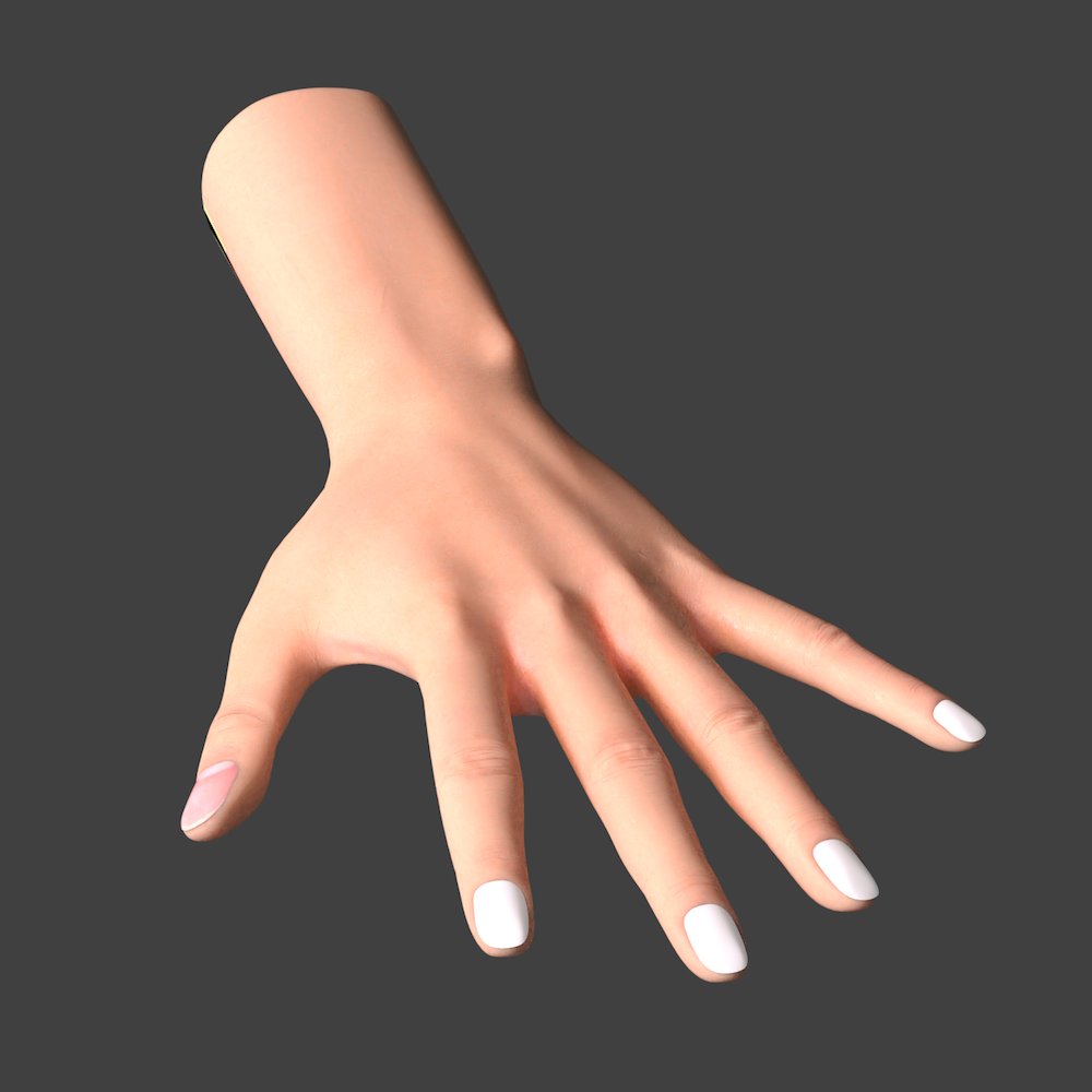 さっちゃん 指のシワ部分の修正と加筆した 親指の爪も入れたので少し手に近づいた感じがする 爪周りはちょっと気を使って描いていこうと思う Blender Substancepainter