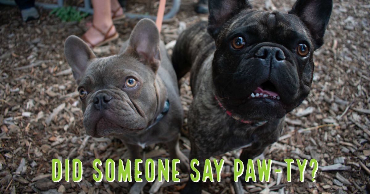 smuttynosebeer's tweet photo. Bring your pups to @daddyjonesbar this Sunday (9/9) for a Tiki Patio Paw-ty!

The event will begin at 1pm, and will benefit local animal shelter @Paws4Survival .

Order a Smuttynose Old Brown Dog ale and enjoy raffles, goodie bags, outdoor movie, pet costume contest and more! https://t.co/VzMOddxR05