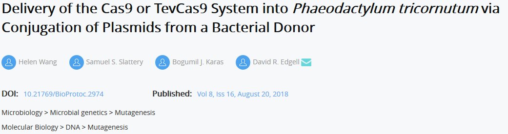 bioprotocolbyte's tweet photo. Delivery of the Cas9 or TevCas9 System into Phaeodactylum via Conjugation of Plasmids from a Bacterial Donor https://t.co/j5WyARF9Dh brief version in ACS Synthetic Biology @Syn_Biology @synbioSRI
@CRISPR_News #CRISPR #Microbiology #robustprotocols #reproducibility #ScienceNews https://t.co/BRjB5nxH9v