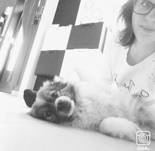 FlashManQueen's tweet photo. Pongo,tu as partagé presque 16 ans de ma vie.Ce sont les meilleures années de ma vie. Tu as été et tu seras pour toujours le meilleur chien sur Terre. Tu as été plus qu’un chien mais un frère.Hier était un jour difficile car tu nous as quitté. Tu me manques déjà bcp,je t’aime❤️ https://t.co/RwA126iEGH