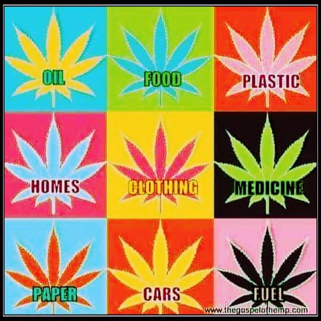 UVCWellness's tweet image. For all your #Cannabis needs. We have the best #flower in #dtla