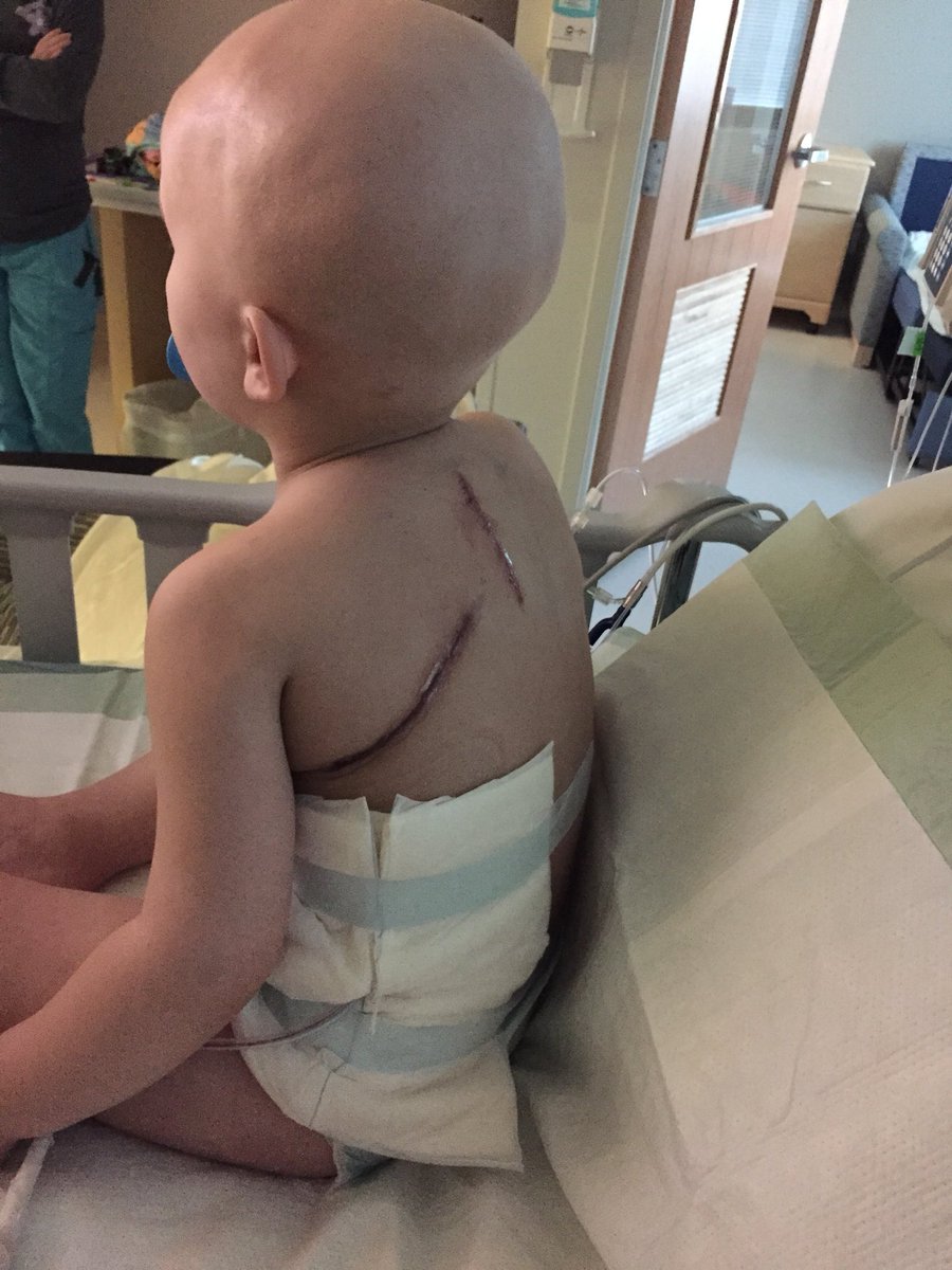 Drew Routon tweet media