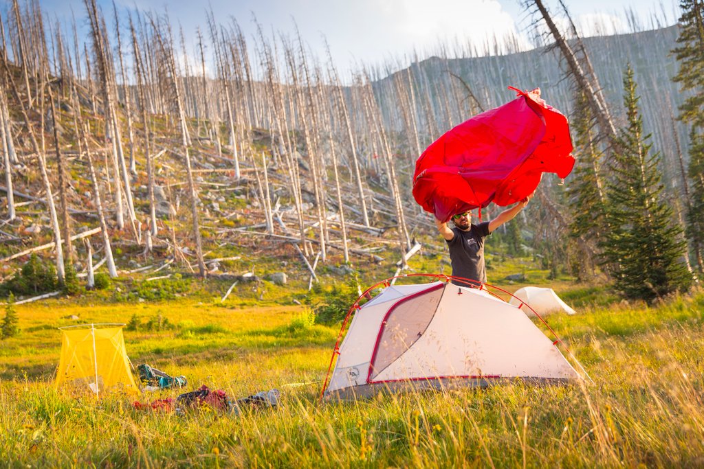 TentsElevated's tweet photo. Big Agnes tents and more coming daily to Tents Elevated!!! Love this company and their products🏕️

#BigAgnes #camping #TentsElevated #nature #tents #getINtents #familyfun #backpacking #mountaineering #usa #getoutside #camplife #adventure https://t.co/CX2bO2XI4J