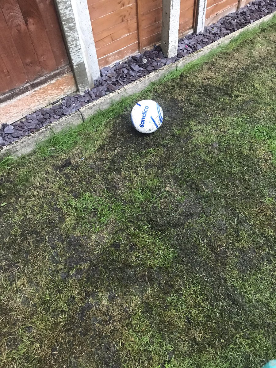 PaulCollings4's tweet photo. @RipFC_ I live in Mundford was this the shot? Or just one of Liam’s pro skills? https://t.co/MWAtUYrQmw