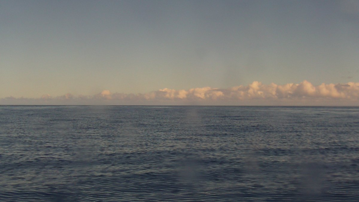 Frame it! #aloha #drone #hawaii #java #robotics