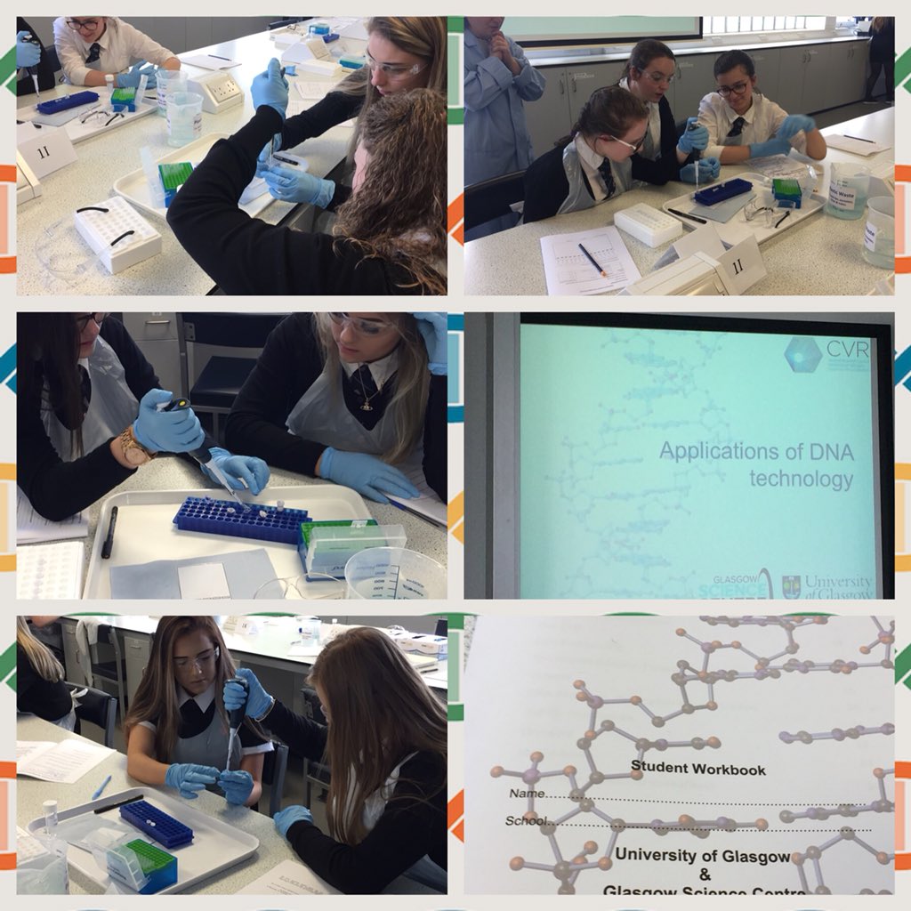 auchenharvie_s's tweet image. Excellent day with Human Biologists today at Glasgow Uni. Students demonstrated excellent practical techniques for PCR &amp;amp; Gel Electrophoresis. @CVRinfo #PCRworkshop